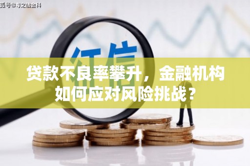 乐清贷款不良率攀升，金融机构如何应对风险挑战？
