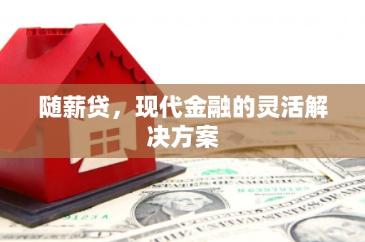 乐清随薪贷，现代金融的灵活解决方案