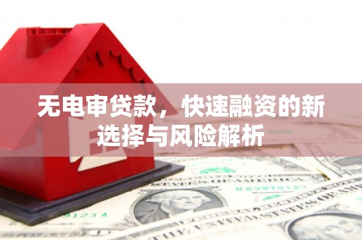 乐清无电审贷款，快速融资的新选择与风险解析