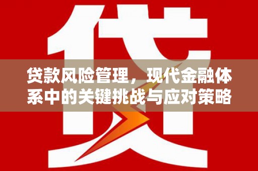 乐清贷款风险管理，现代金融体系中的关键挑战与应对策略