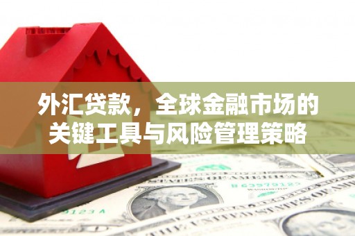乐清外汇贷款，全球金融市场的关键工具与风险管理策略