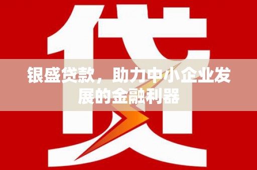 乐清银盛贷款，助力中小企业发展的金融利器