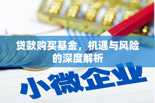 乐清贷款购买基金，机遇与风险的深度解析