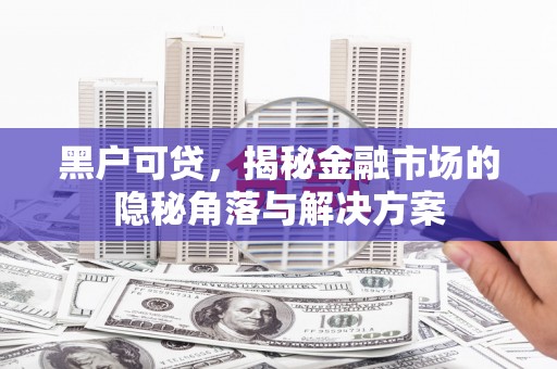 乐清黑户可贷，揭秘金融市场的隐秘角落与解决方案