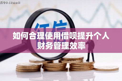 乐清如何合理使用借呗提升个人财务管理效率