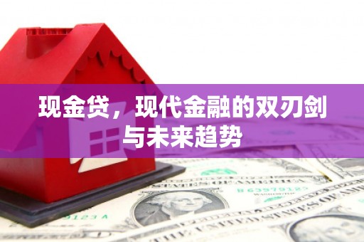 乐清现金贷，现代金融的双刃剑与未来趋势