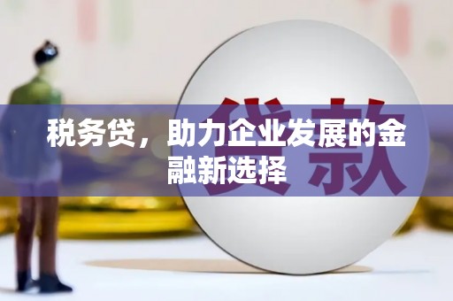 乐清税务贷，助力企业发展的金融新选择