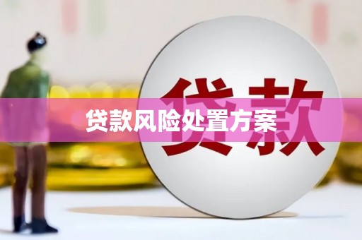 乐清贷款风险处置方案