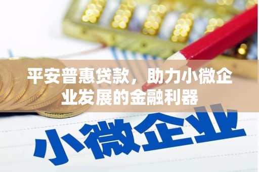 乐清平安普惠贷款，助力小微企业发展的金融利器