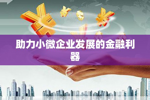 乐清助力小微企业发展的金融利器
