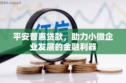 乐清平安普惠贷款，助力小微企业发展的金融利器