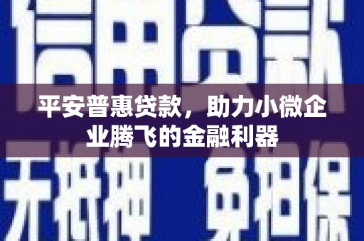 乐清平安普惠贷款，助力小微企业腾飞的金融利器