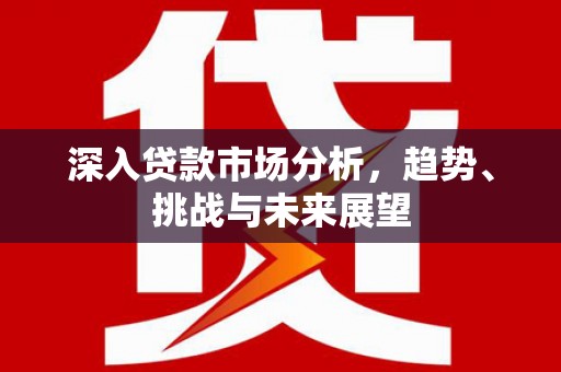 乐清深入贷款市场分析，趋势、挑战与未来展望