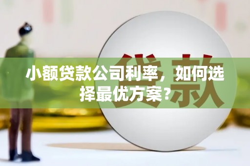 乐清小额贷款公司利率，如何选择最优方案？