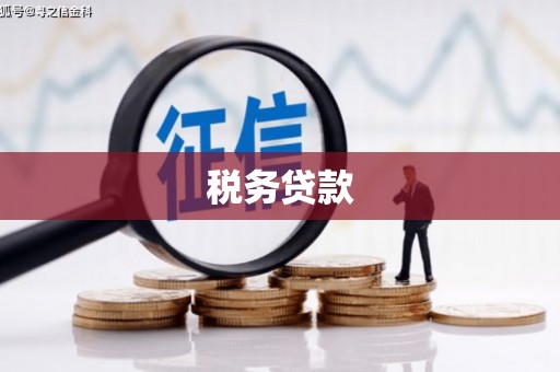 乐清税务贷款