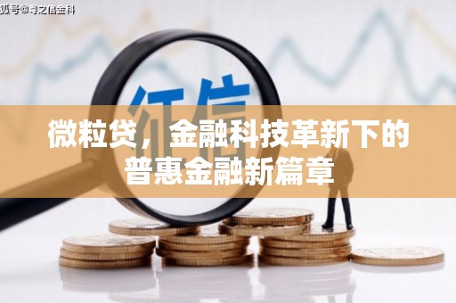 乐清微粒贷，金融科技革新下的普惠金融新篇章