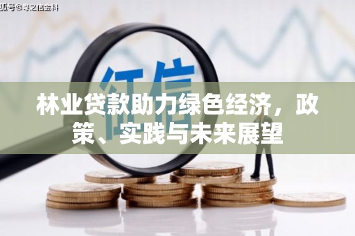 乐清林业贷款助力绿色经济，政策、实践与未来展望