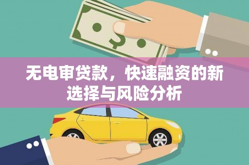乐清无电审贷款，快速融资的新选择与风险分析