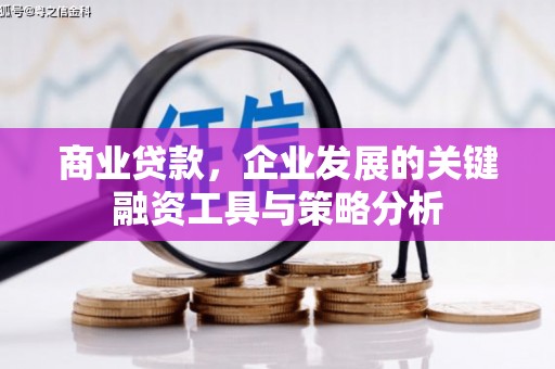 乐清商业贷款，企业发展的关键融资工具与策略分析
