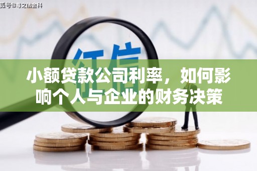 乐清小额贷款公司利率，如何影响个人与企业的财务决策