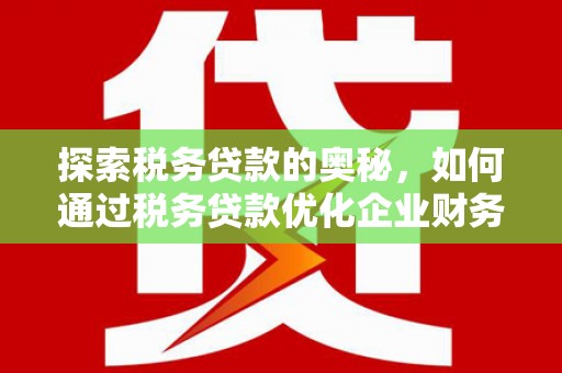 乐清探索税务贷款的奥秘，如何通过税务贷款优化企业财务