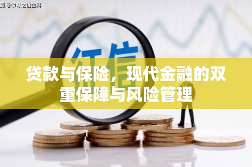 乐清贷款与保险，现代金融的双重保障与风险管理