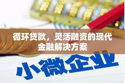 乐清循环贷款，灵活融资的现代金融解决方案