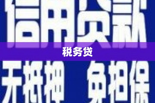 乐清税务贷