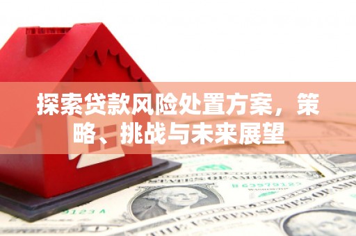 乐清探索贷款风险处置方案，策略、挑战与未来展望