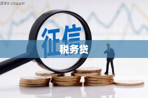 乐清税务贷