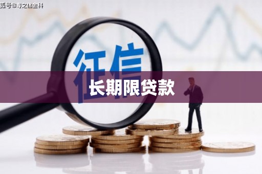 乐清长期限贷款
