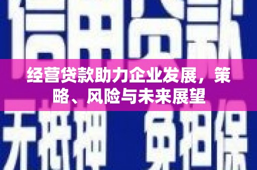 乐清经营贷款助力企业发展，策略、风险与未来展望