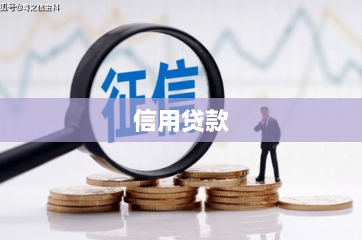 乐清信用贷款