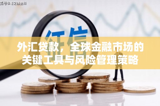 乐清外汇贷款，全球金融市场的关键工具与风险管理策略