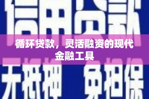 乐清循环贷款，灵活融资的现代金融工具