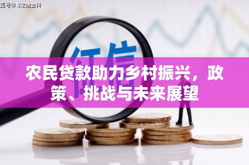 乐清农民贷款助力乡村振兴，政策、挑战与未来展望
