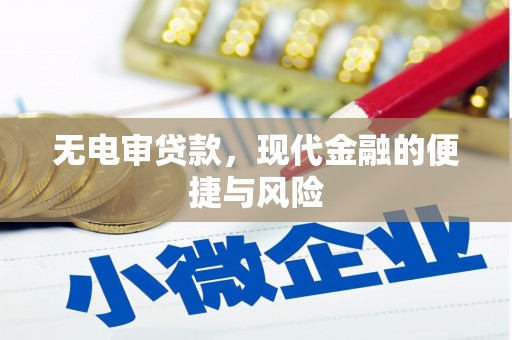乐清无电审贷款，现代金融的便捷与风险