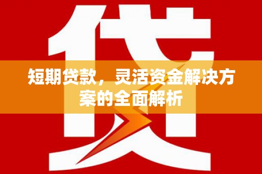 乐清短期贷款，灵活资金解决方案的全面解析
