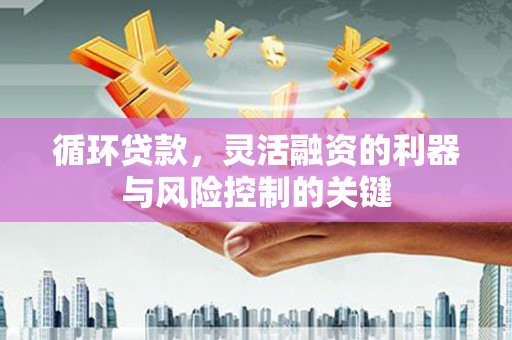 乐清循环贷款，灵活融资的利器与风险控制的关键