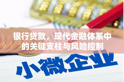乐清银行贷款，现代金融体系中的关键支柱与风险控制