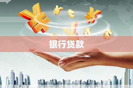 乐清银行贷款