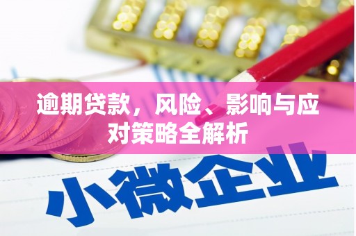 乐清逾期贷款，风险、影响与应对策略全解析