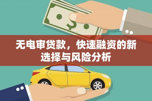 乐清无电审贷款，快速融资的新选择与风险分析