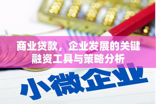 乐清商业贷款，企业发展的关键融资工具与策略分析