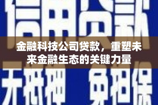 乐清金融科技公司贷款，重塑未来金融生态的关键力量