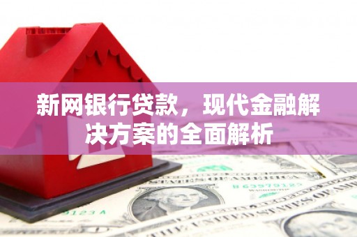 乐清新网银行贷款，现代金融解决方案的全面解析
