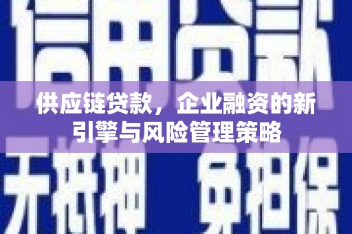 乐清供应链贷款，企业融资的新引擎与风险管理策略
