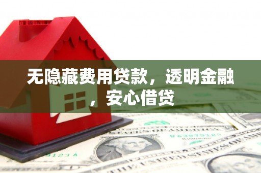 乐清无隐藏费用贷款，透明金融，安心借贷