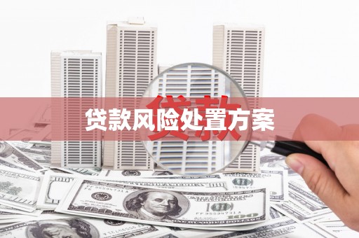 乐清贷款风险处置方案