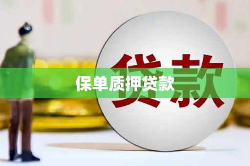 乐清保单质押贷款